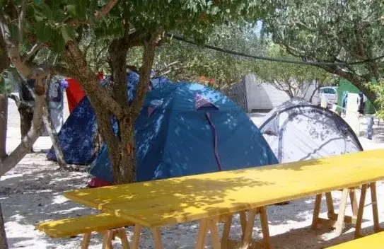 Zona tende circondata dal verde